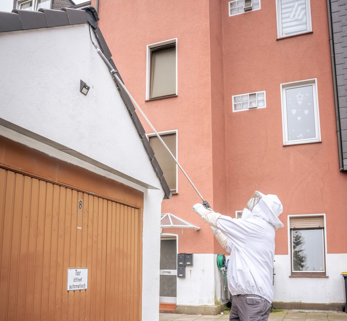 Wespen loswerden und endlich den Sommer genießen. Wir führen eine professionelle Wespenbekämpfung durch. Wespen bekämpfen gehört zu unserem Tagesgeschäft.