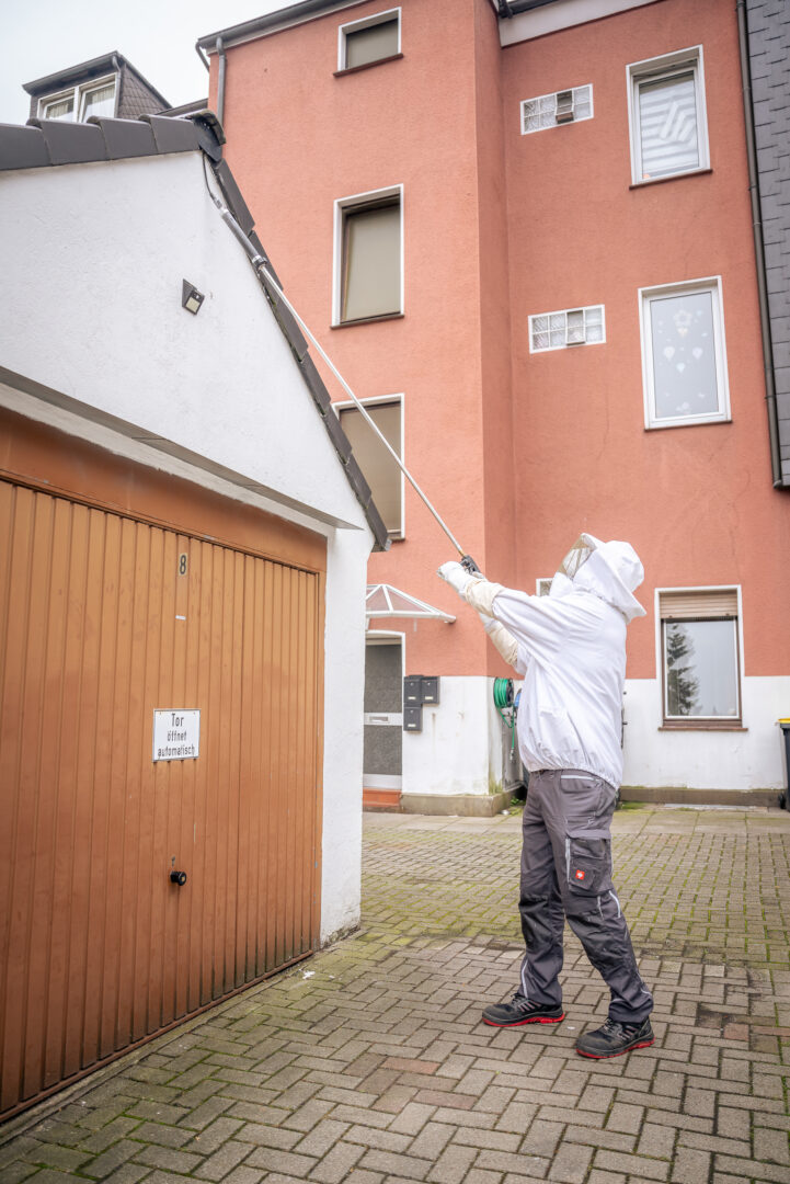 DETEK-Experte bei der Wespen Schädlingsbekämpfung: Professionelle Entfernung eines Wespennests an der Dachkante – im Einsatz für Kunden in Essen, Dortmund und Duisburg