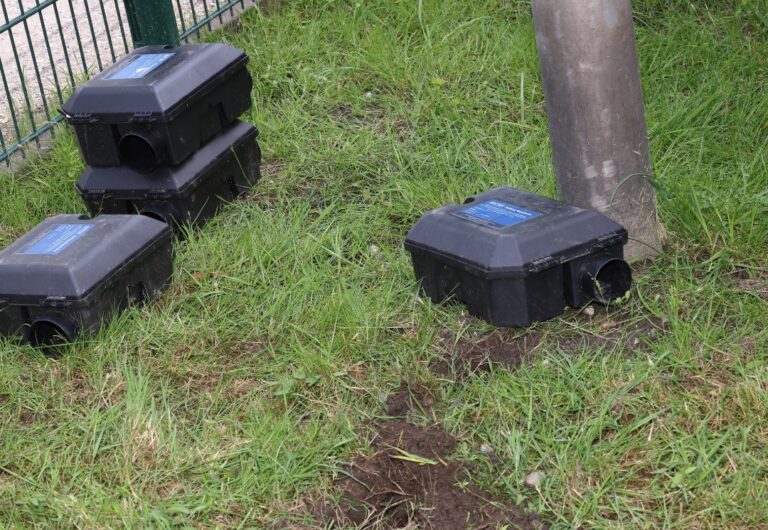 Rattenköder aufbauen kann einen Schädlingsbefall vemeiden. Zur BEkämpfung baut man RAttenköder in gesicherten Boxen auf.