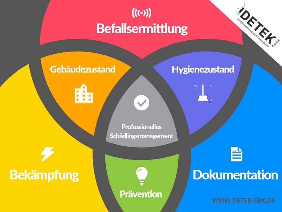 Schädlingsmonitoring ist ein System in dem verschiedene Bereiche in einander übergehen, um ein effiktives Schädlingsmanagement zu gewährleisten.