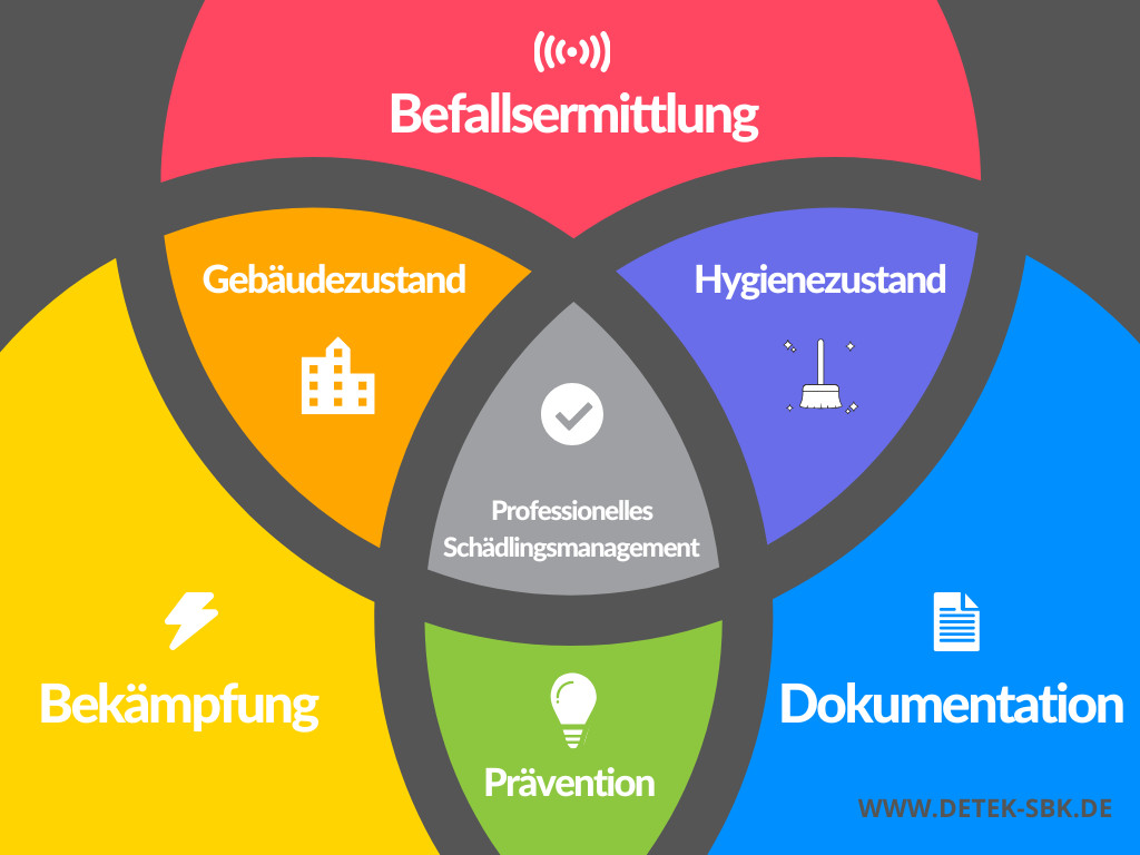 Effektives Schädlingsmanagement für Unternehmen: Schützen Sie Ihre Räumlichkeiten und erfüllen Sie gesetzliche Vorgaben mit professionellen Überwachungs- und Bekämpfungslösungen. Jetzt informieren!