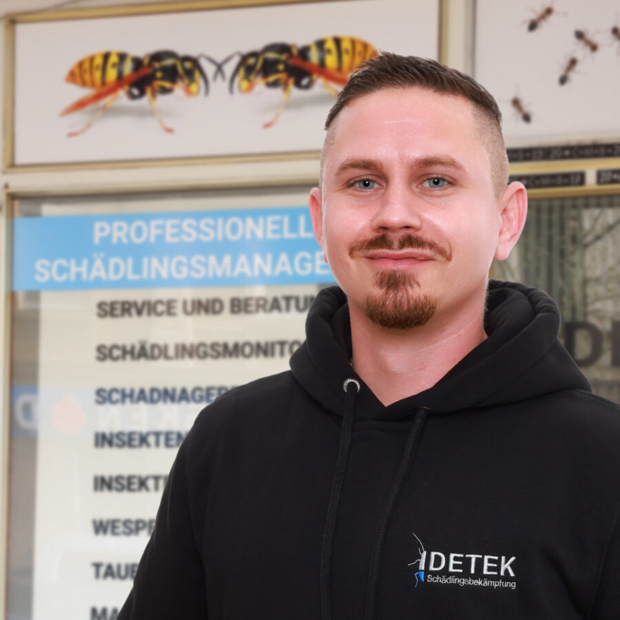 Professioneller Kammerjäger. Schädlingsbekämpfer