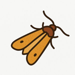 Icon einer Kleidermotte (Tineola bisselliella) – Textilschädling erkennen
