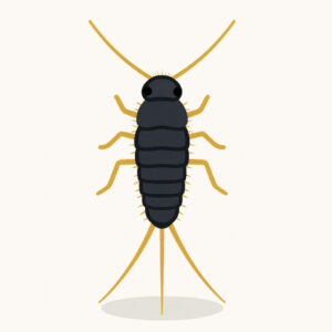 Icon eines Papierfischchens (Ctenolepisma longicaudatum) – Neubauschädling