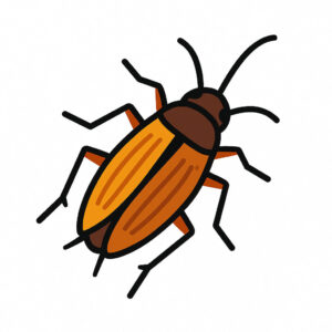 Icon einer Deutschen Schabe (Blattella germanica) – Schabenbekämpfung